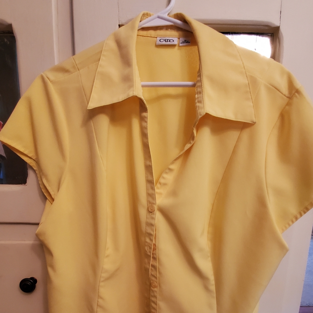 Ladies blouse